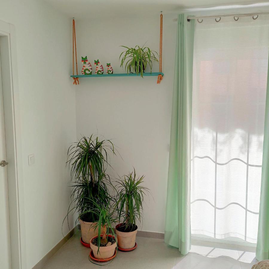 Apartmán Casa Edrada Cheste Exteriér fotografie